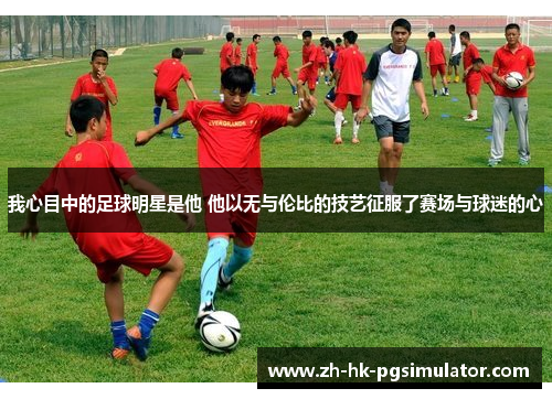 我心目中的足球明星是他 他以无与伦比的技艺征服了赛场与球迷的心