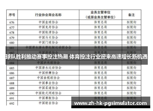 球队胜利推动赛事投注热潮 体育投注行业迎来高速增长新机遇