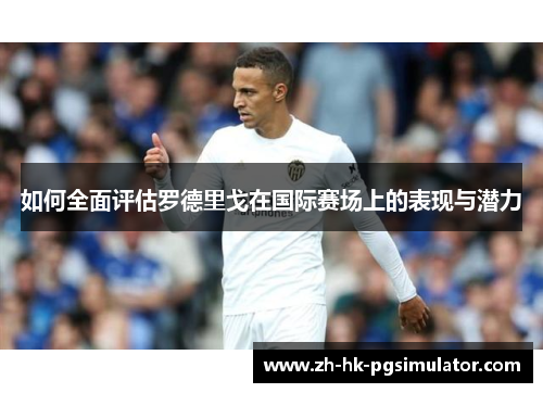 如何全面评估罗德里戈在国际赛场上的表现与潜力