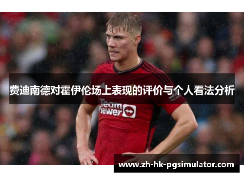 费迪南德对霍伊伦场上表现的评价与个人看法分析