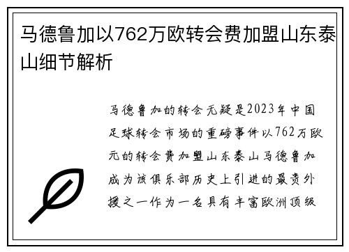 马德鲁加以762万欧转会费加盟山东泰山细节解析