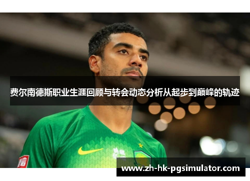 费尔南德斯职业生涯回顾与转会动态分析从起步到巅峰的轨迹