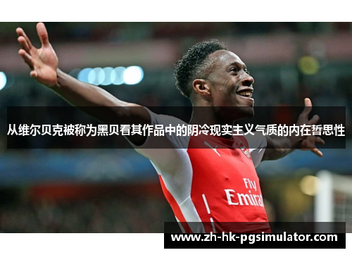 从维尔贝克被称为黑贝看其作品中的阴冷现实主义气质的内在哲思性